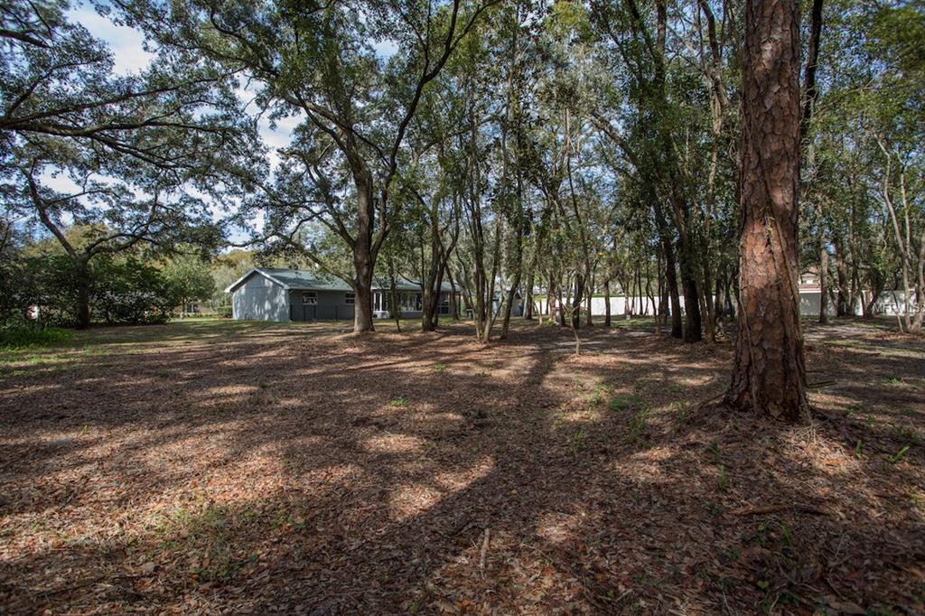 16407 SHAGBARK PLACE, TAMPA, Florida 33618, 3 Bedrooms Bedrooms, 3 Rooms Rooms,2 BathroomsBathrooms,Residential,For sale,SHAGBARK,T2928268