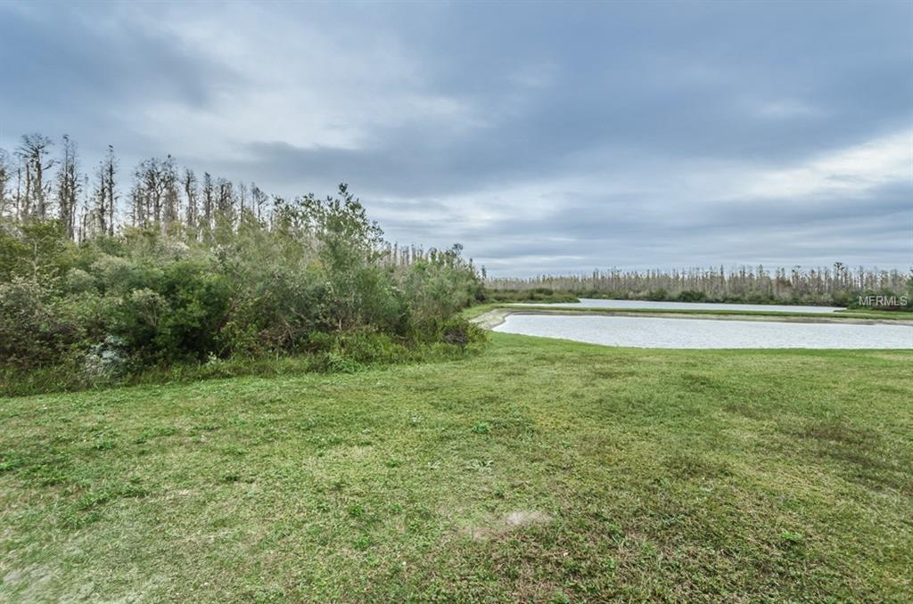 3349 CHESSINGTON DRIVE, LAND O LAKES, Florida 34638, 5 Bedrooms Bedrooms, 3 Rooms Rooms,3 BathroomsBathrooms,Residential,For sale,CHESSINGTON,U7843028