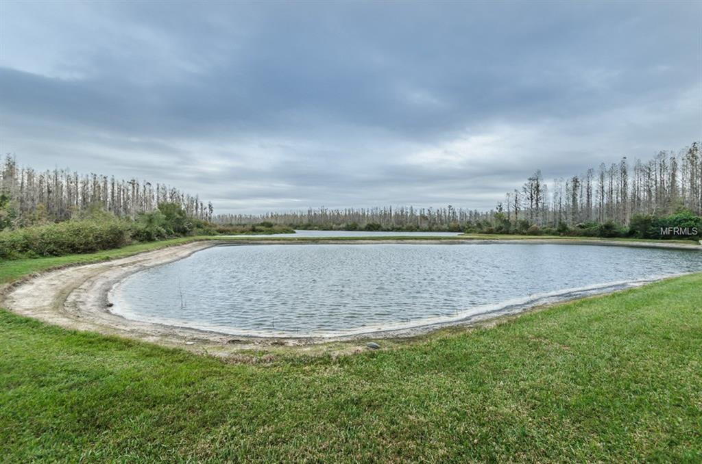 3349 CHESSINGTON DRIVE, LAND O LAKES, Florida 34638, 5 Bedrooms Bedrooms, 3 Rooms Rooms,3 BathroomsBathrooms,Residential,For sale,CHESSINGTON,U7843028