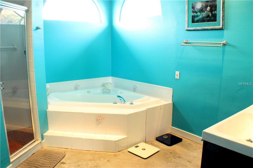 22809 WILLOW LAKES DRIVE, LUTZ, Florida 33549, 4 Bedrooms Bedrooms, 9 Rooms Rooms,3 BathroomsBathrooms,Residential,For sale,WILLOW LAKES,T2925299