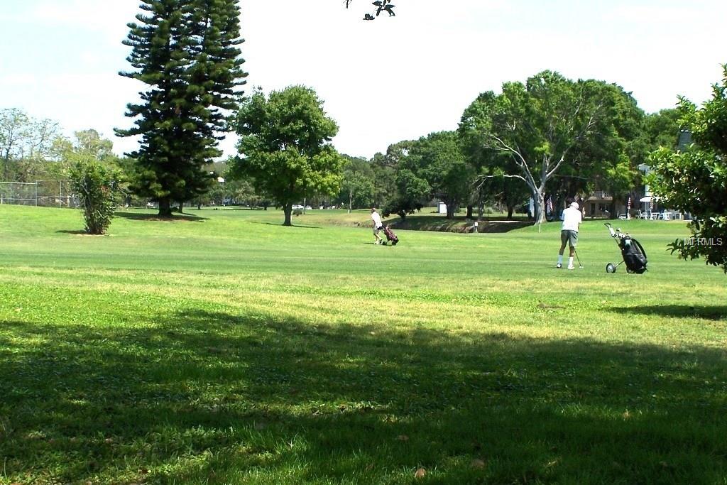 2450 CANADIAN WAY, CLEARWATER, Florida 33763, 2 Bedrooms Bedrooms, 5 Rooms Rooms,2 BathroomsBathrooms,Residential,For sale,CANADIAN,U7847078