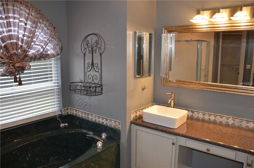 881 WHITE IVEY COURT, APOPKA, Florida 32712, 3 Bedrooms Bedrooms, 9 Rooms Rooms,2 BathroomsBathrooms,Residential,For sale,WHITE IVEY,O5561779