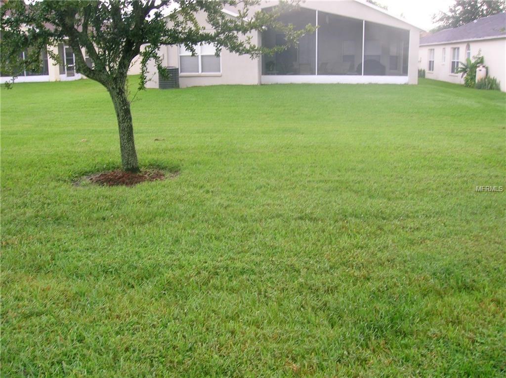 1320 WOLFORD DRIVE, TRINITY, Florida 34655, 2 Bedrooms Bedrooms, 7 Rooms Rooms,2 BathroomsBathrooms,Residential,For sale,WOLFORD,W7633428