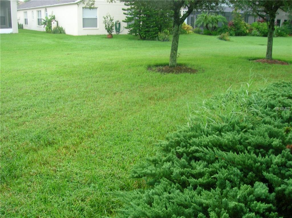 1320 WOLFORD DRIVE, TRINITY, Florida 34655, 2 Bedrooms Bedrooms, 7 Rooms Rooms,2 BathroomsBathrooms,Residential,For sale,WOLFORD,W7633428