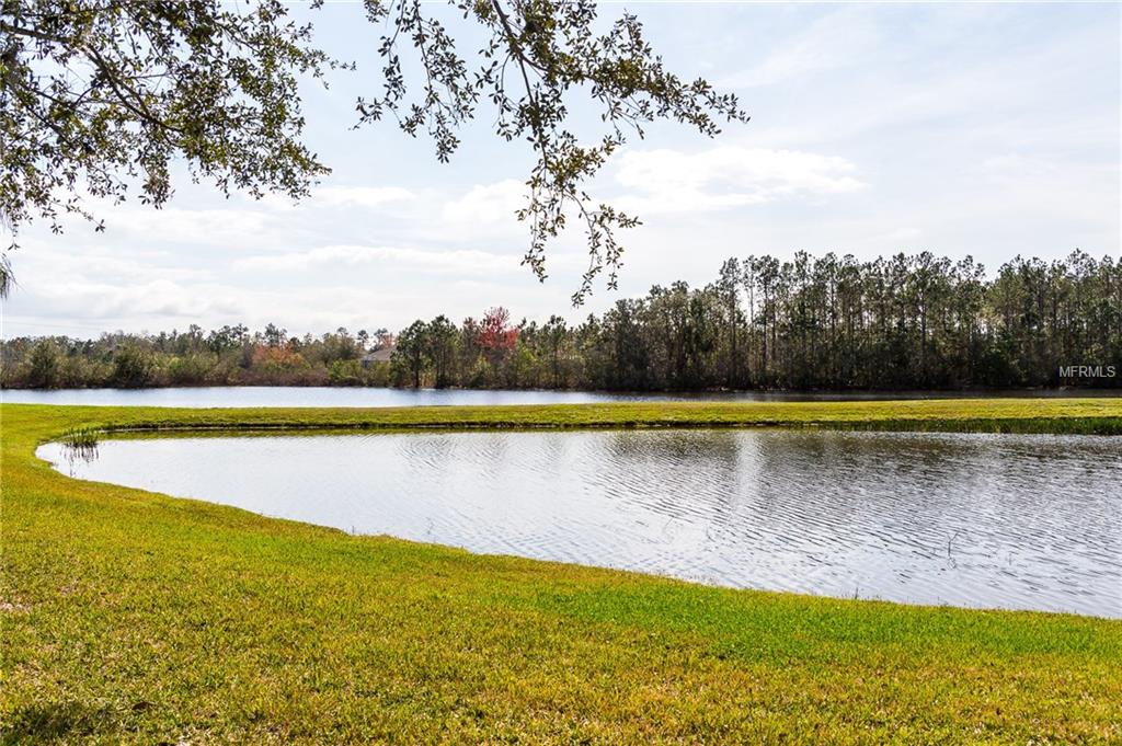 27444 EDENFIELD DRIVE, WESLEY CHAPEL, Florida 33543, 4 Bedrooms Bedrooms, 7 Rooms Rooms,2 BathroomsBathrooms,Residential,For sale,EDENFIELD,T2928404