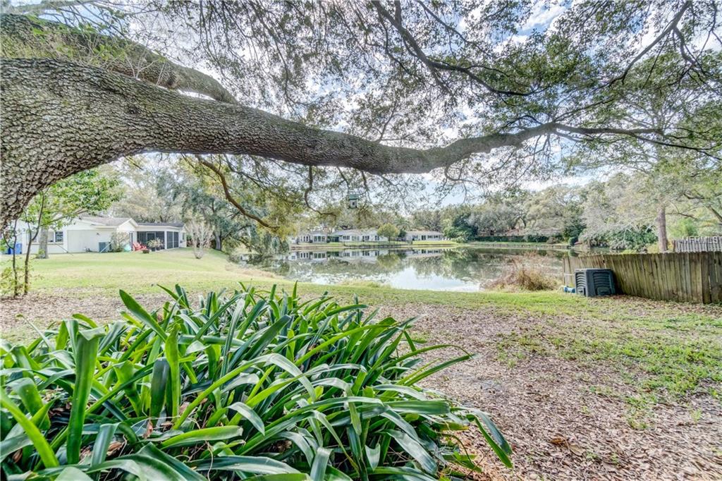 10908 JUNIPERUS PLACE, TAMPA, Florida 33618, 4 Bedrooms Bedrooms, 10 Rooms Rooms,2 BathroomsBathrooms,Residential,For sale,JUNIPERUS,T2925317