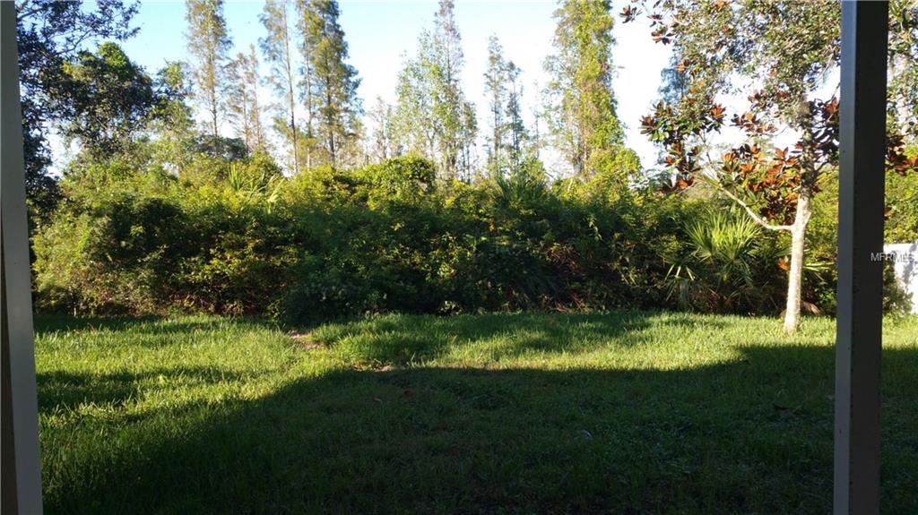 19248 WOOD SAGE DRIVE, TAMPA, Florida 33647, 4 Bedrooms Bedrooms, 8 Rooms Rooms,2 BathroomsBathrooms,Residential,For sale,WOOD SAGE,T2922499