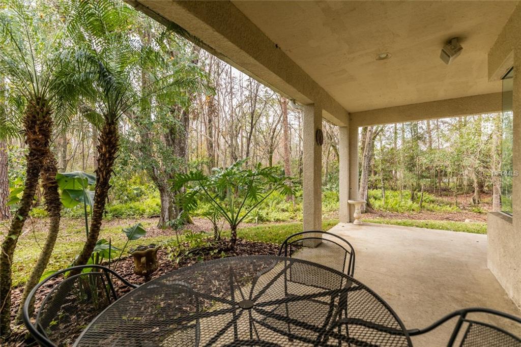 11610 GREENSLEEVE AVENUE, TAMPA, Florida 33626, 3 Bedrooms Bedrooms, 3 Rooms Rooms,2 BathroomsBathrooms,Residential,For sale,GREENSLEEVE,U7826936