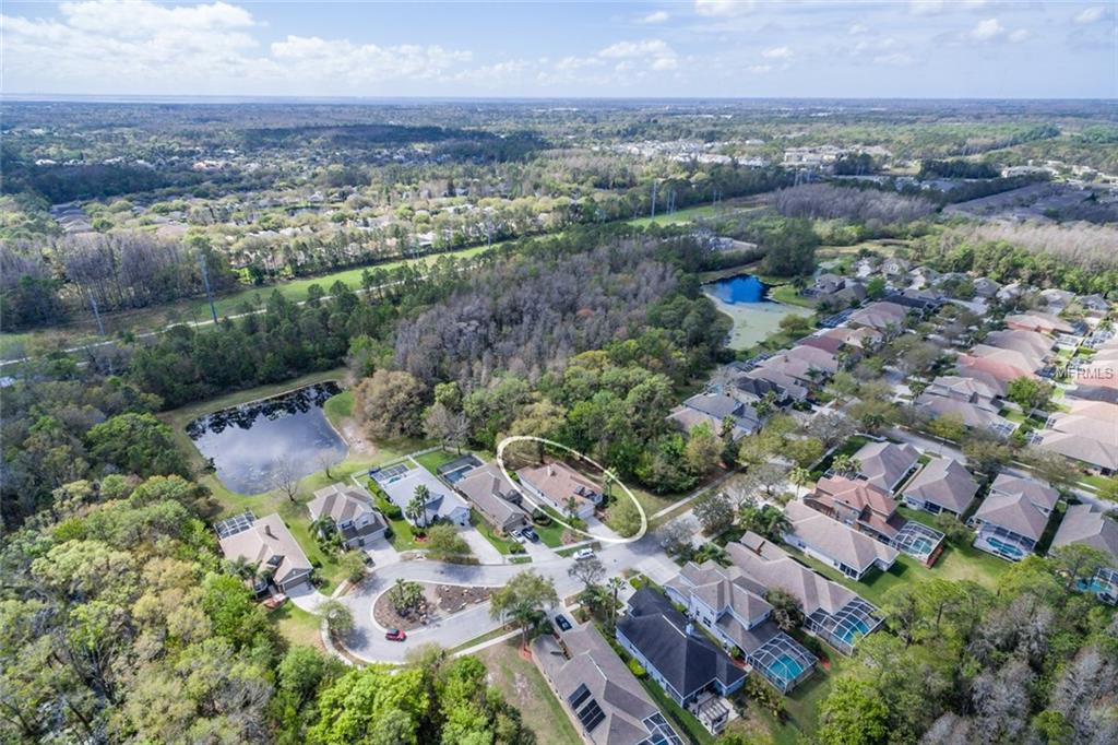 11610 GREENSLEEVE AVENUE, TAMPA, Florida 33626, 3 Bedrooms Bedrooms, 3 Rooms Rooms,2 BathroomsBathrooms,Residential,For sale,GREENSLEEVE,U7826936