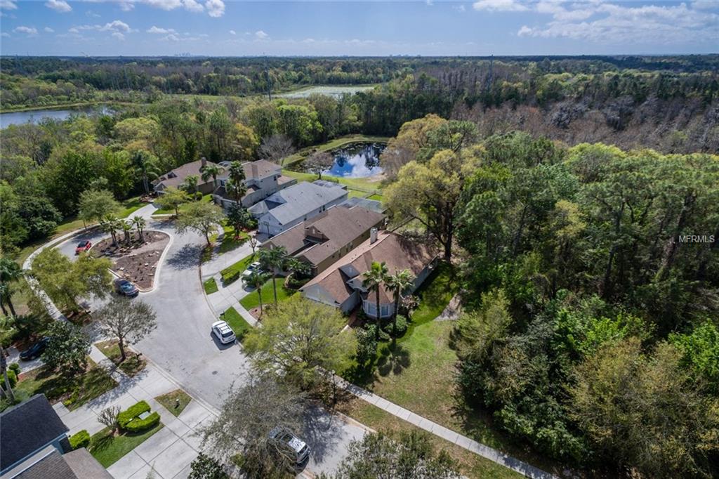 11610 GREENSLEEVE AVENUE, TAMPA, Florida 33626, 3 Bedrooms Bedrooms, 3 Rooms Rooms,2 BathroomsBathrooms,Residential,For sale,GREENSLEEVE,U7826936