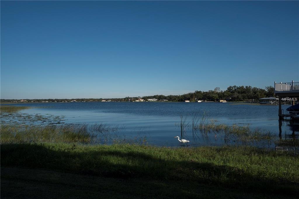 235 MAGNOLIA STREET, WINDERMERE, Florida 34786, 4 Bedrooms Bedrooms, 9 Rooms Rooms,2 BathroomsBathrooms,Residential,For sale,MAGNOLIA,O5544005