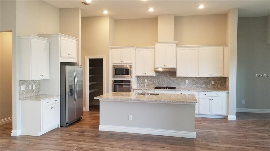 16697 COURTYARD LOOP, LAND O LAKES, Florida 34638, 3 Bedrooms Bedrooms, 6 Rooms Rooms,3 BathroomsBathrooms,Residential,For sale,COURTYARD,A4207605