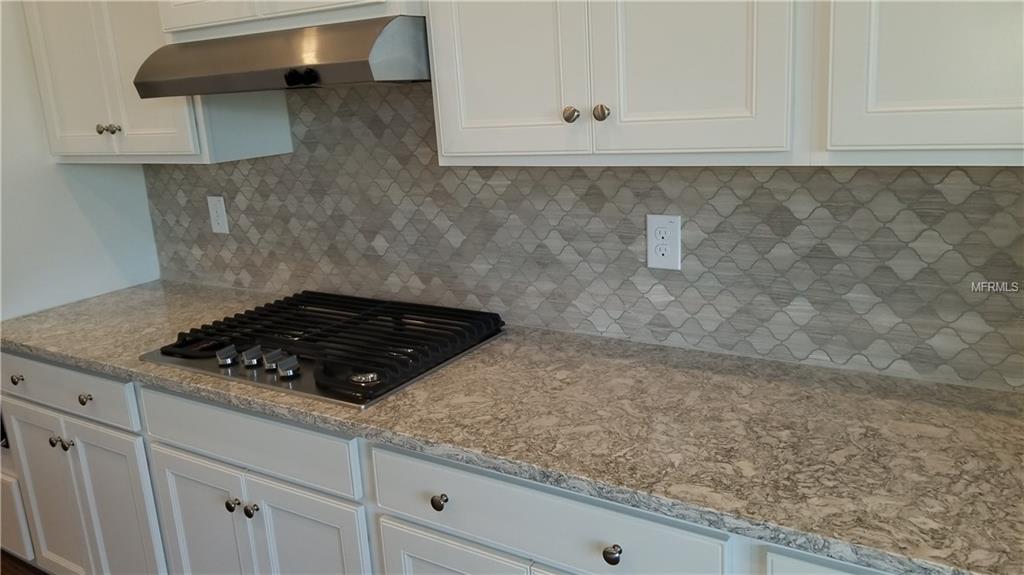 16697 COURTYARD LOOP, LAND O LAKES, Florida 34638, 3 Bedrooms Bedrooms, 6 Rooms Rooms,3 BathroomsBathrooms,Residential,For sale,COURTYARD,A4207605