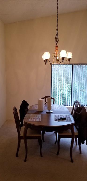 1703 LAKE CYPRESS DRIVE, SAFETY HARBOR, Florida 34695, 2 Bedrooms Bedrooms, 6 Rooms Rooms,2 BathroomsBathrooms,Residential,For sale,LAKE CYPRESS,T2927698