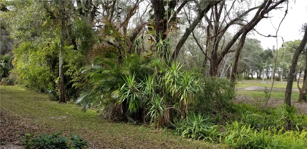 1703 LAKE CYPRESS DRIVE, SAFETY HARBOR, Florida 34695, 2 Bedrooms Bedrooms, 6 Rooms Rooms,2 BathroomsBathrooms,Residential,For sale,LAKE CYPRESS,T2927698