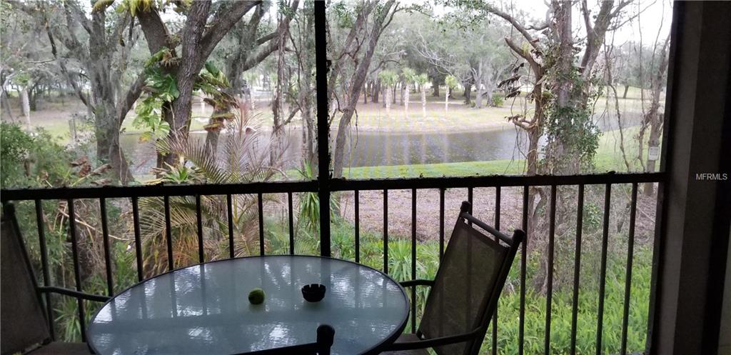 1703 LAKE CYPRESS DRIVE, SAFETY HARBOR, Florida 34695, 2 Bedrooms Bedrooms, 6 Rooms Rooms,2 BathroomsBathrooms,Residential,For sale,LAKE CYPRESS,T2927698