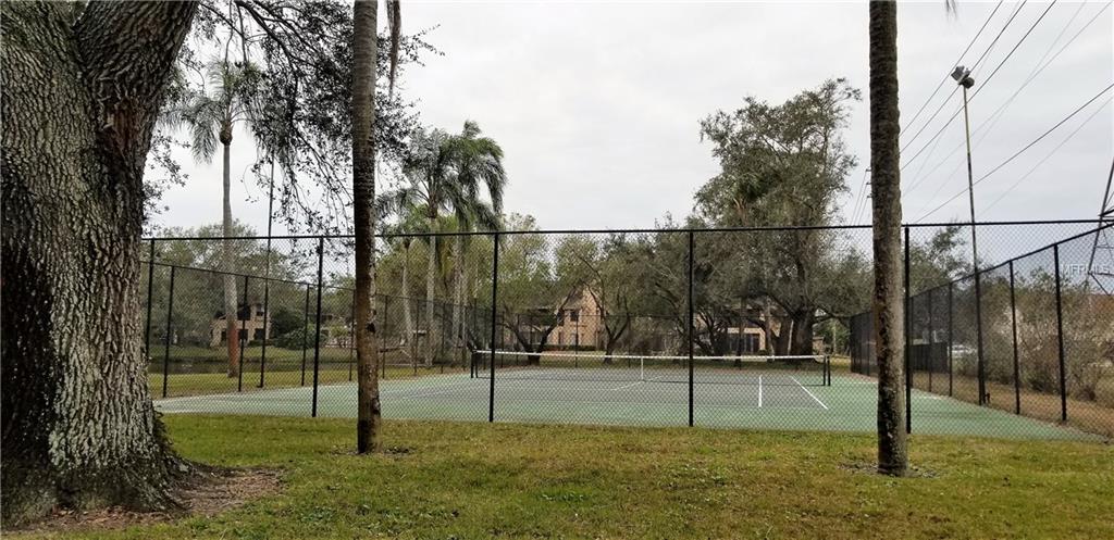 1703 LAKE CYPRESS DRIVE, SAFETY HARBOR, Florida 34695, 2 Bedrooms Bedrooms, 6 Rooms Rooms,2 BathroomsBathrooms,Residential,For sale,LAKE CYPRESS,T2927698