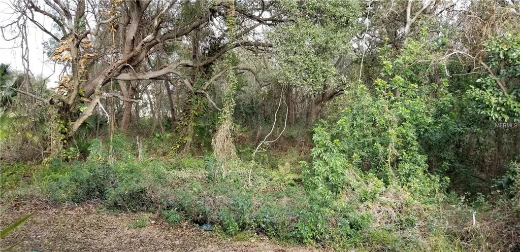 1703 LAKE CYPRESS DRIVE, SAFETY HARBOR, Florida 34695, 2 Bedrooms Bedrooms, 6 Rooms Rooms,2 BathroomsBathrooms,Residential,For sale,LAKE CYPRESS,T2927698