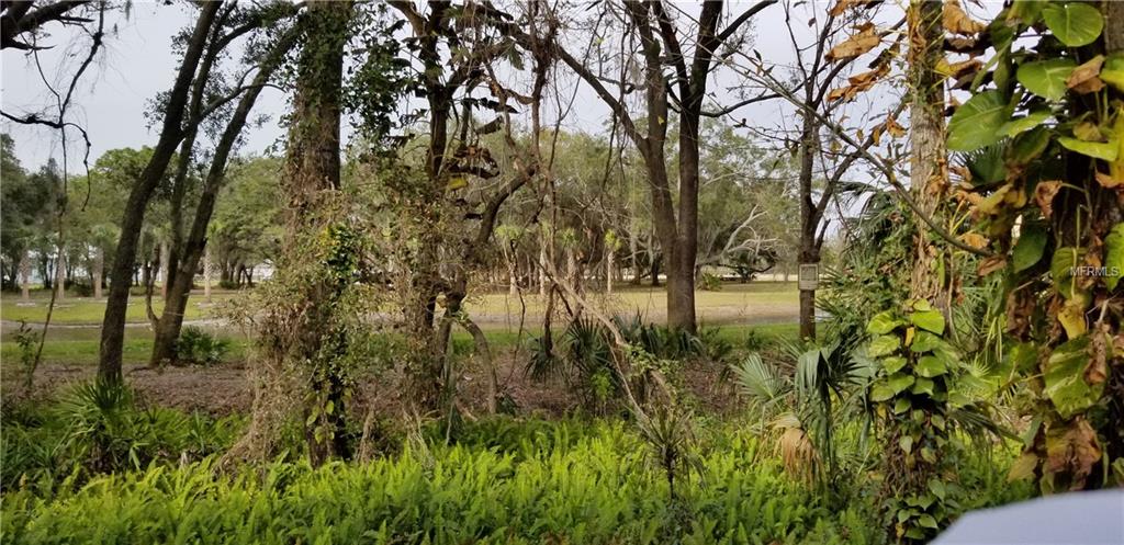 1703 LAKE CYPRESS DRIVE, SAFETY HARBOR, Florida 34695, 2 Bedrooms Bedrooms, 6 Rooms Rooms,2 BathroomsBathrooms,Residential,For sale,LAKE CYPRESS,T2927698