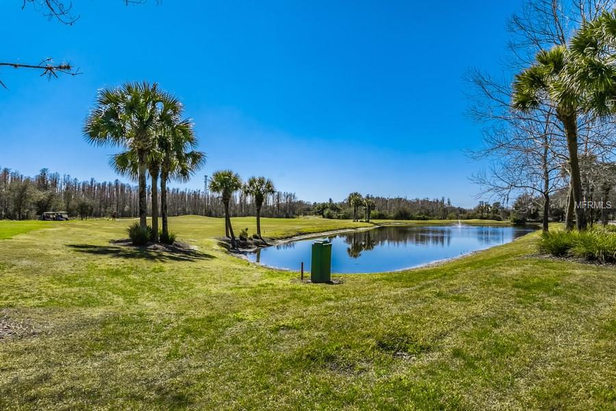 20904 TANGOR ROAD, LAND O LAKES, Florida 34637, 3 Bedrooms Bedrooms, 6 Rooms Rooms,2 BathroomsBathrooms,Residential,For sale,TANGOR,T2923584