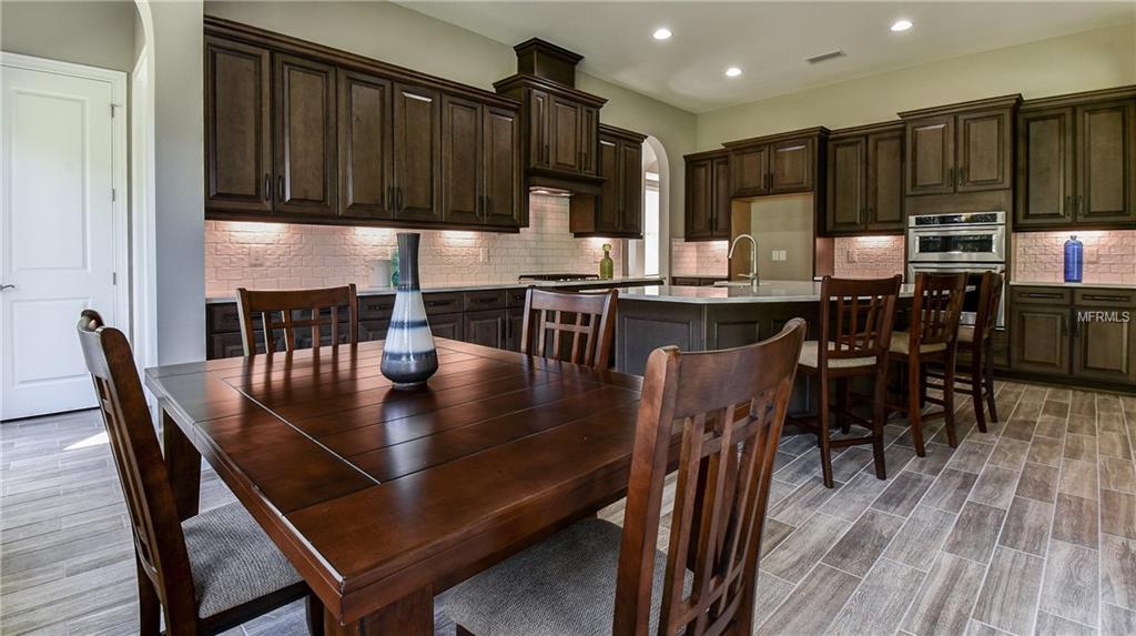 29190 PICANA LANE, WESLEY CHAPEL, Florida 33543, 4 Bedrooms Bedrooms, 10 Rooms Rooms,5 BathroomsBathrooms,Residential,For sale,PICANA,T2876503