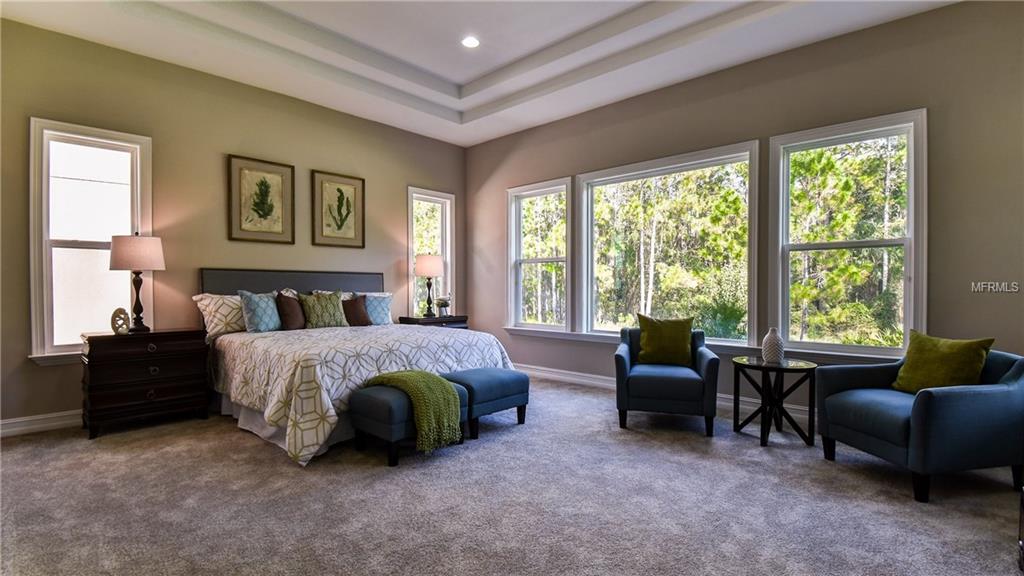 29190 PICANA LANE, WESLEY CHAPEL, Florida 33543, 4 Bedrooms Bedrooms, 10 Rooms Rooms,5 BathroomsBathrooms,Residential,For sale,PICANA,T2876503