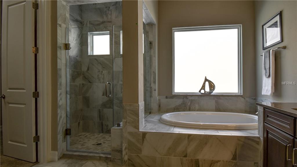 29190 PICANA LANE, WESLEY CHAPEL, Florida 33543, 4 Bedrooms Bedrooms, 10 Rooms Rooms,5 BathroomsBathrooms,Residential,For sale,PICANA,T2876503