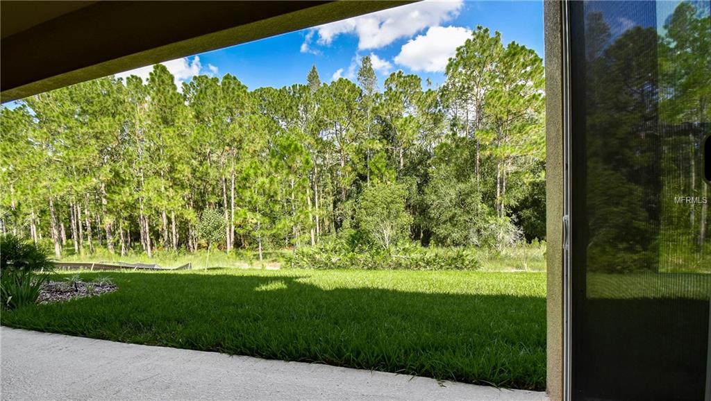 29190 PICANA LANE, WESLEY CHAPEL, Florida 33543, 4 Bedrooms Bedrooms, 10 Rooms Rooms,5 BathroomsBathrooms,Residential,For sale,PICANA,T2876503