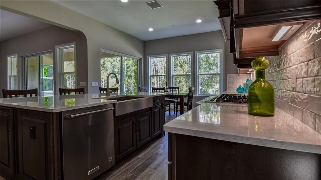 29190 PICANA LANE, WESLEY CHAPEL, Florida 33543, 4 Bedrooms Bedrooms, 10 Rooms Rooms,5 BathroomsBathrooms,Residential,For sale,PICANA,T2876503