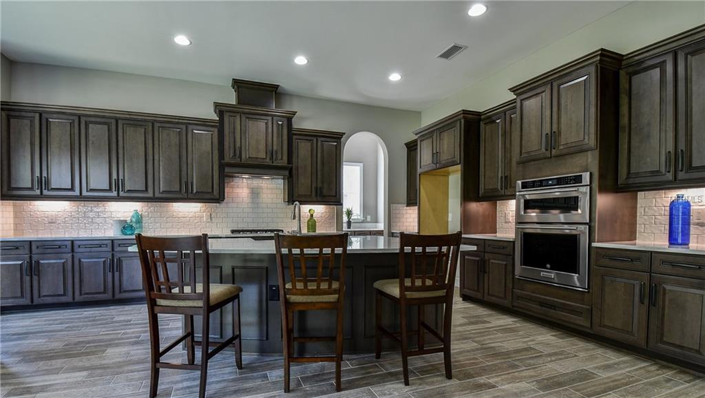 29190 PICANA LANE, WESLEY CHAPEL, Florida 33543, 4 Bedrooms Bedrooms, 10 Rooms Rooms,5 BathroomsBathrooms,Residential,For sale,PICANA,T2876503