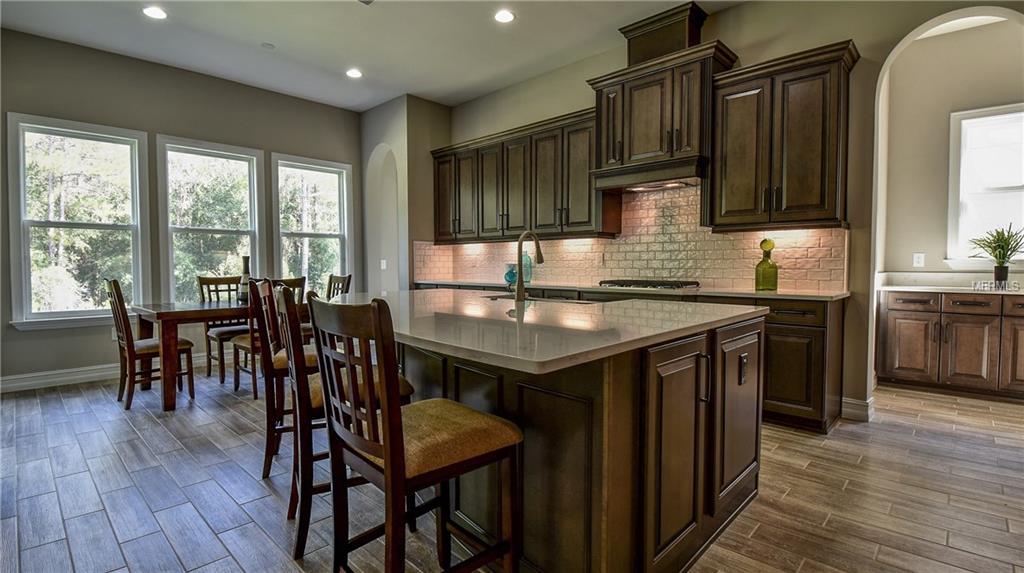 29190 PICANA LANE, WESLEY CHAPEL, Florida 33543, 4 Bedrooms Bedrooms, 10 Rooms Rooms,5 BathroomsBathrooms,Residential,For sale,PICANA,T2876503