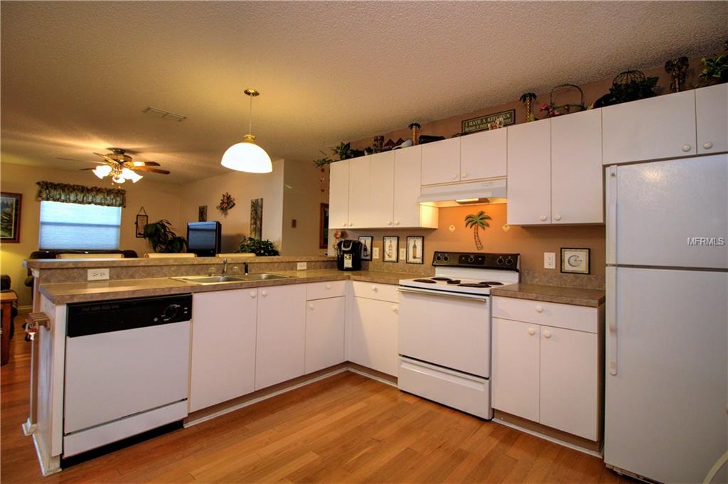 2820 BARBOZA DRIVE, THE VILLAGES, Florida 32162, 2 Bedrooms Bedrooms, 5 Rooms Rooms,2 BathroomsBathrooms,Residential,For sale,BARBOZA,G4848869