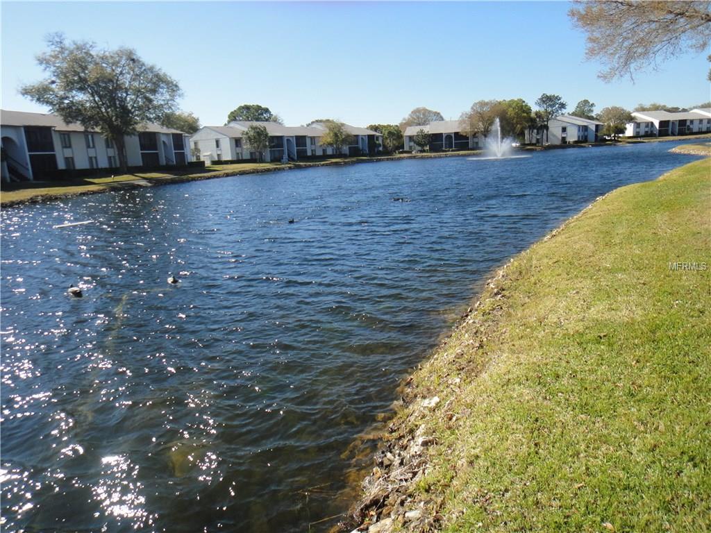 1143 PINE RIDGE CIRCLE W, TARPON SPRINGS, Florida 34688, 2 Bedrooms Bedrooms, 4 Rooms Rooms,2 BathroomsBathrooms,Residential,For sale,PINE RIDGE,U7847582
