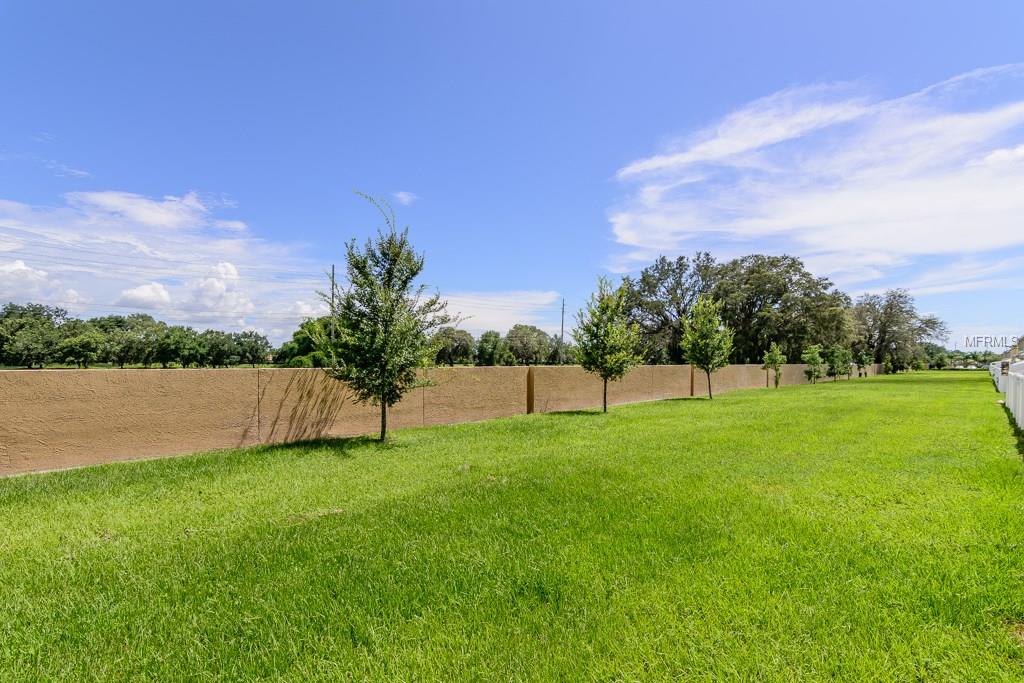 9755 TRUMPET VINE LOOP, TRINITY, Florida 34655, 2 Bedrooms Bedrooms, 5 Rooms Rooms,2 BathroomsBathrooms,Residential,For sale,TRUMPET VINE,W7636791