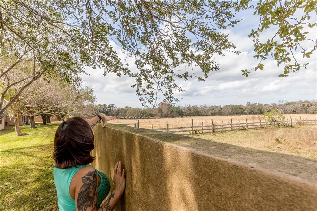 8813 MANOS CIRCLE, NEW PORT RICHEY, Florida 34655, 3 Bedrooms Bedrooms, 3 Rooms Rooms,2 BathroomsBathrooms,Residential,For sale,MANOS,U7847584