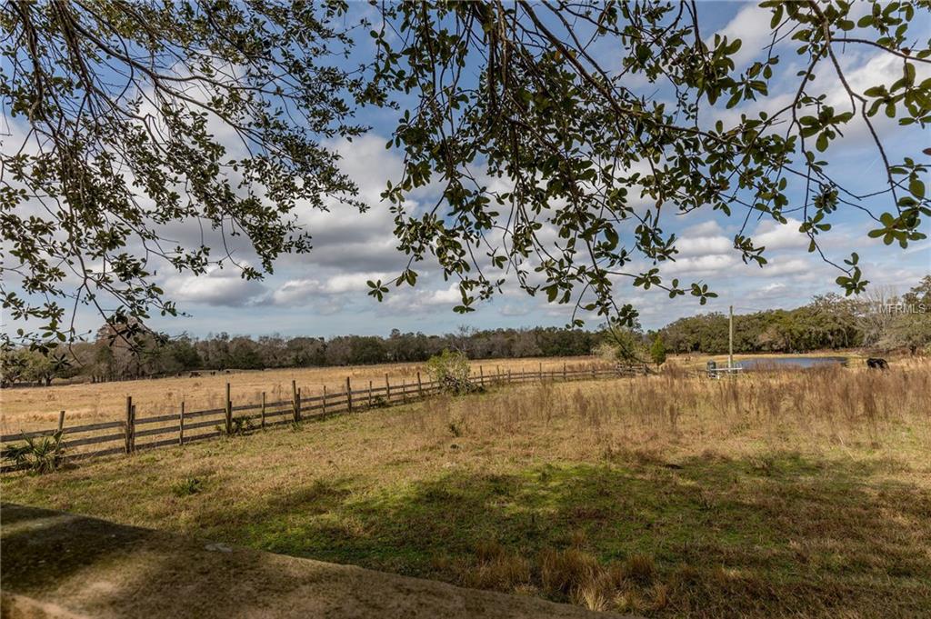 8813 MANOS CIRCLE, NEW PORT RICHEY, Florida 34655, 3 Bedrooms Bedrooms, 3 Rooms Rooms,2 BathroomsBathrooms,Residential,For sale,MANOS,U7847584