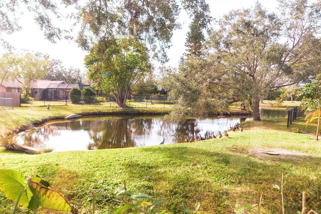 3114 47TH AVENUE E, BRADENTON, Florida 34203, 4 Bedrooms Bedrooms, 10 Rooms Rooms,2 BathroomsBathrooms,Residential,For sale,47TH,A4208462