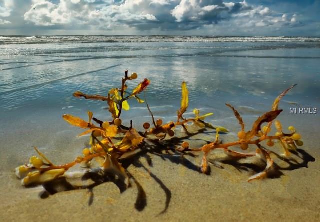 8600 RIDGEWOOD AVENUE, CAPE CANAVERAL, Florida 32920, 1 Bedroom Bedrooms, 3 Rooms Rooms,1 BathroomBathrooms,Residential,For sale,RIDGEWOOD,O5561913