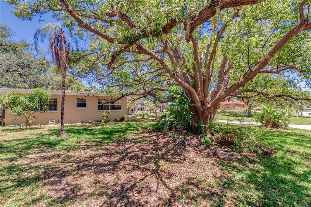 209 WESTWINDS DRIVE, PALM HARBOR, Florida 34683, 3 Bedrooms Bedrooms, 3 Rooms Rooms,2 BathroomsBathrooms,Residential,For sale,WESTWINDS,U7816416