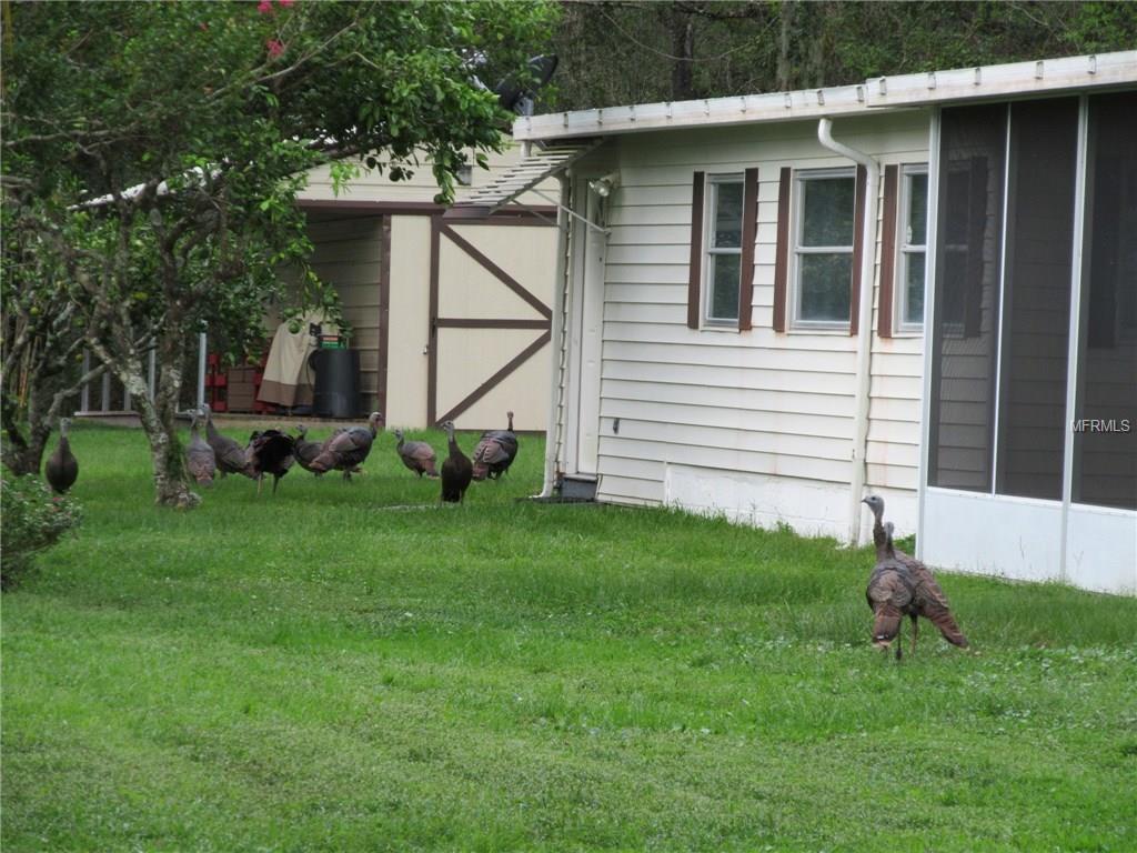 74 ROSALIE OAKS BOULEVARD, LAKE WALES, Florida 33898, 2 Bedrooms Bedrooms, 6 Rooms Rooms,2 BathroomsBathrooms,Residential,For sale,ROSALIE OAKS,K4701765