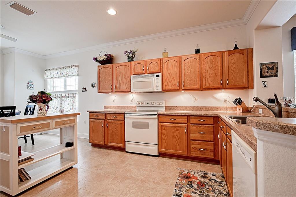 13044 SE 90TH COURT ROAD, SUMMERFIELD, Florida 34491, 3 Bedrooms Bedrooms, 7 Rooms Rooms,2 BathroomsBathrooms,Residential,For sale,90TH COURT,G4846997