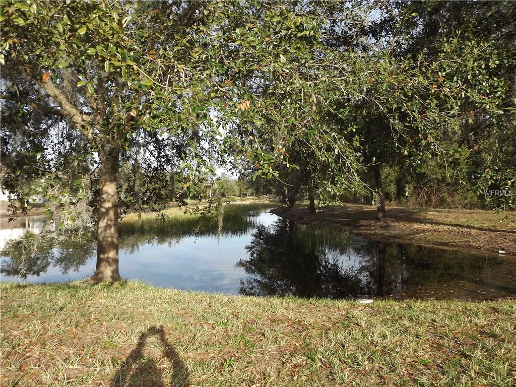 3236 CLOVER BLOSSOM CIRCLE, LAND O LAKES, Florida 34638, 3 Bedrooms Bedrooms, 5 Rooms Rooms,2 BathroomsBathrooms,Residential,For sale,CLOVER BLOSSOM,T2928138