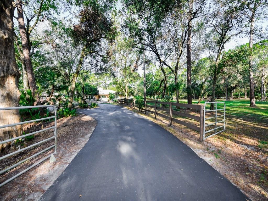 6782 TIMBERLAND LANE, SARASOTA, Florida 34241, 4 Bedrooms Bedrooms, 10 Rooms Rooms,3 BathroomsBathrooms,Residential,For sale,TIMBERLAND,A4202926