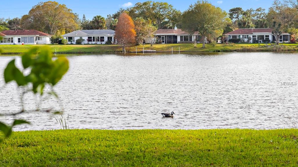 1715 ALGONQUIN DRIVE, CLEARWATER, Florida 33755, 2 Bedrooms Bedrooms, 5 Rooms Rooms,2 BathroomsBathrooms,Residential,For sale,ALGONQUIN,U7847587