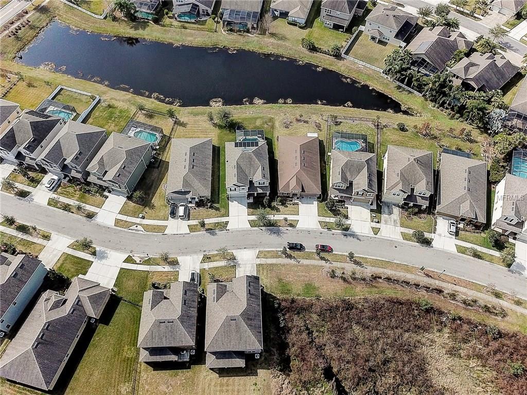 19315 WATER MAPLE DR, TAMPA, Florida 33647, 5 Bedrooms Bedrooms, 13 Rooms Rooms,3 BathroomsBathrooms,Residential,For sale,WATER MAPLE DR,A4209831