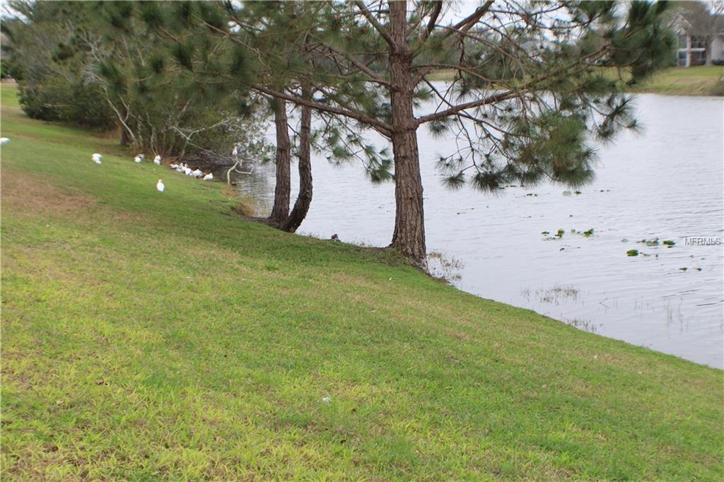 679 BIRGHAM PLACE, LAKE MARY, Florida 32746, 3 Bedrooms Bedrooms, 7 Rooms Rooms,2 BathroomsBathrooms,Residential,For sale,BIRGHAM,O5561690