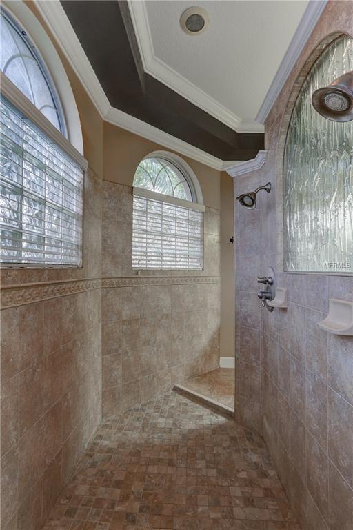 10724 CORY LAKE DRIVE, TAMPA, Florida 33647, 4 Bedrooms Bedrooms, 4 Rooms Rooms,3 BathroomsBathrooms,Residential,For sale,CORY LAKE,U7846351