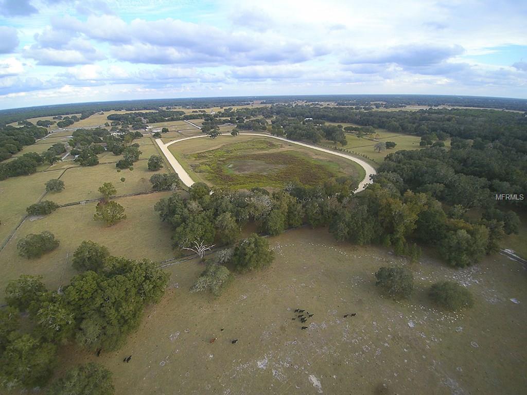 OXFORD, Florida 34484, 10 Bedrooms Bedrooms, 3 Rooms Rooms,7 BathroomsBathrooms,Residential,For sale,G4852376