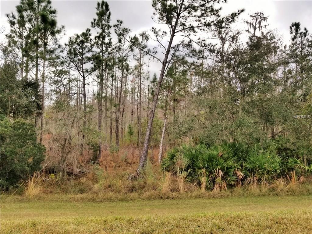 578 PRESIDO PARK PL, POINCIANA, Florida 34759, 2 Bedrooms Bedrooms, 6 Rooms Rooms,2 BathroomsBathrooms,Residential,For sale,PRESIDO PARK PL,S4856396