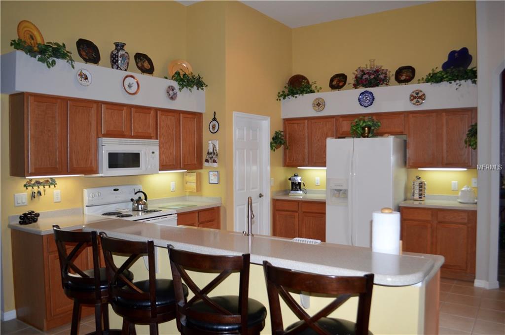 25144 LAUREL VALLEY ROAD, LEESBURG, Florida 34748, 2 Bedrooms Bedrooms, 6 Rooms Rooms,2 BathroomsBathrooms,Residential,For sale,LAUREL VALLEY,O5561099